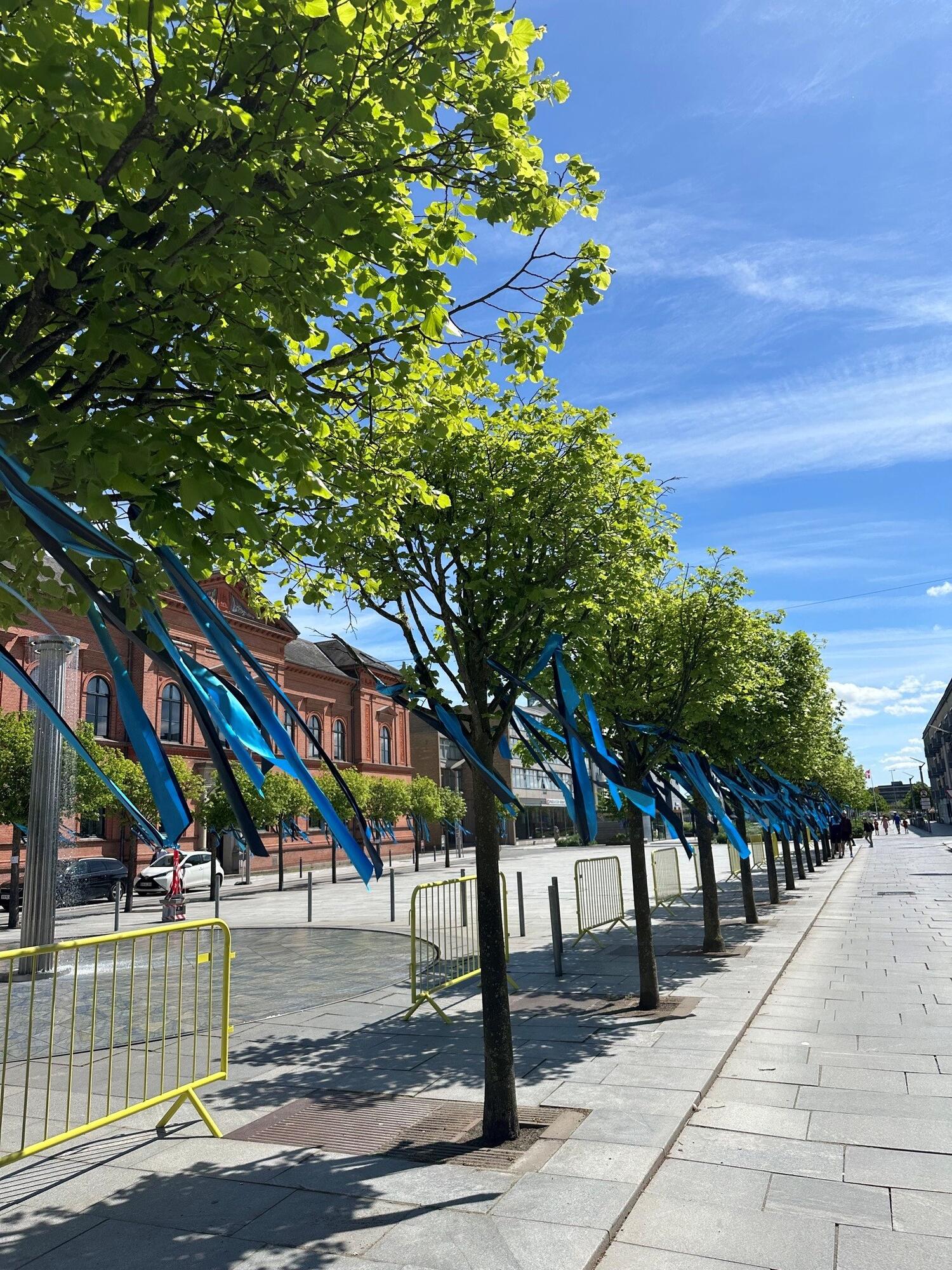 Kransebånd langs østervold